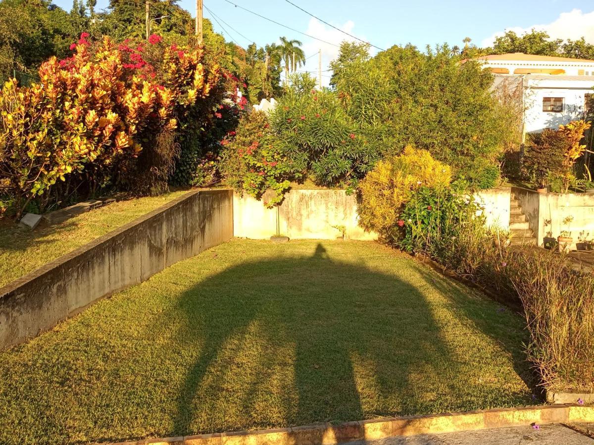 Charmant Appartement Verdoyant Le Morne-Vert Bagian luar foto